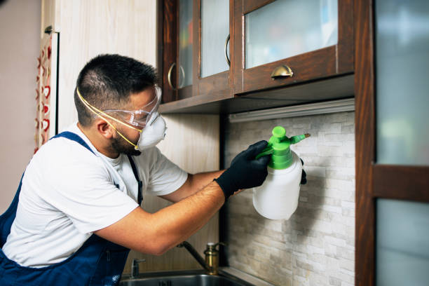 Best Termite Control Services  in Franklin, WI